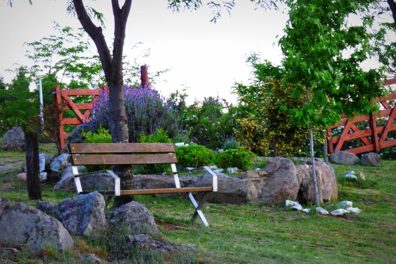 Terrazas Al Champaqui * Villa Yacanto